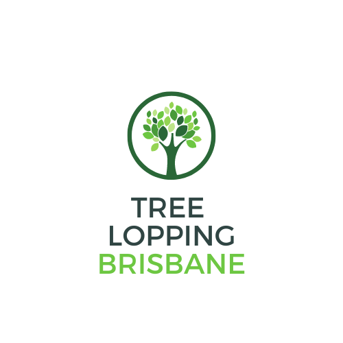 Tree Services Brisbane